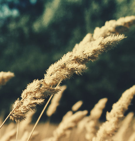 自动攻击网站工具下载