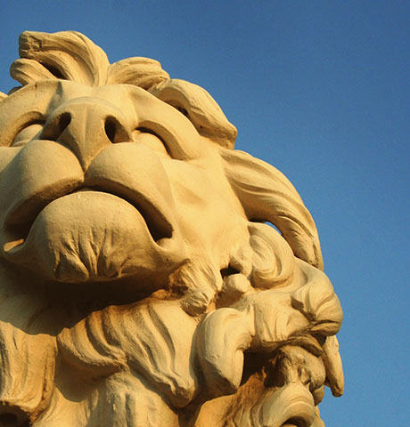 担保交易无忧的cc攻击工具